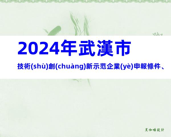 2024年武漢市技術(shù)創(chuàng)新示范企業(yè)申報條件、步驟及相關(guān)內(nèi)容