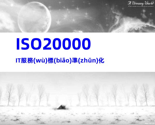 ISO20000IT服務(wù)標(biāo)準(zhǔn)化