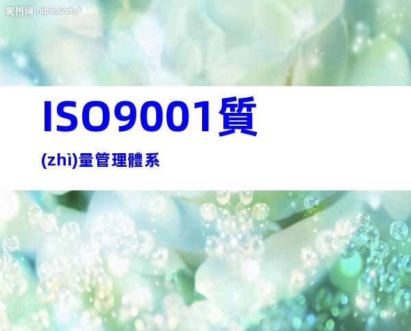 ISO9001質(zhì)量管理體系