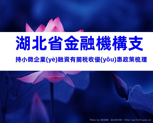 湖北省金融機構支持小微企業(yè)融資有關稅收優(yōu)惠政策梳理