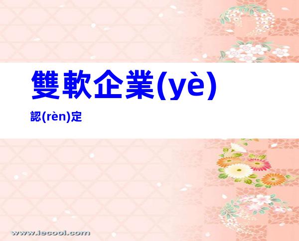 雙軟企業(yè)認(rèn)定
